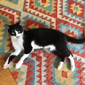 Meet your Posher, Claire